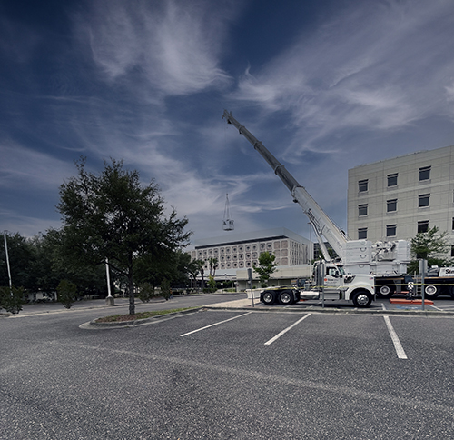 Crane Image_Gainesville.jpg